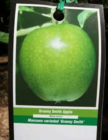 Apples (Granny Smith) - Mercado Del Pueblo